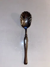 Bellaire (Stainless) by YAMAZAKI Grapefruit Spoon