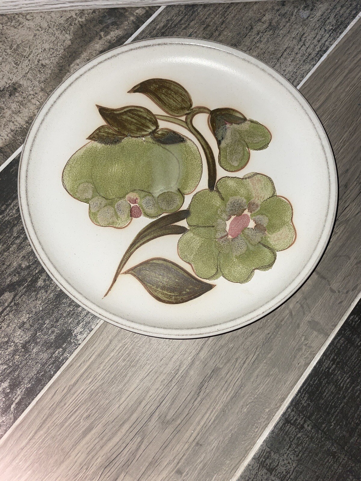 SET OF 2 X DENBY TROUBADOUR 10.5" DINNER PLATES EXCELLENT CONDITION eBay