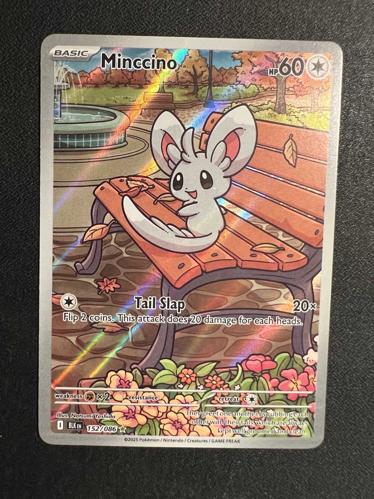 Pokemon TCG Minccino 152/086 Illustration Rare Sv: Black Bolt Trading Card