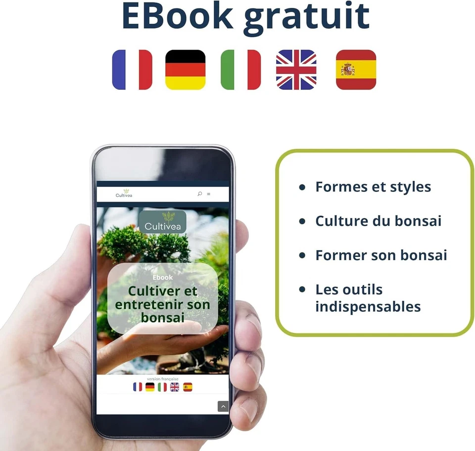 Mini Kit Prêt à Pousser Bonsaï – Graines Françaises idée cadeau noël original - Photo 4/4