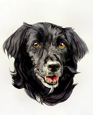 Custom professional realistic pet portrait, hand painted, watercolor, original