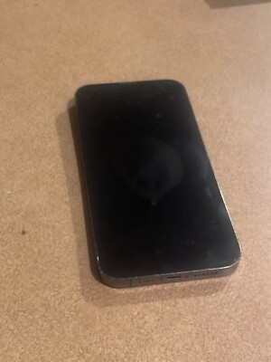 Apple iPhone 12 Pro Max - 128 GB - Silver (Unlocked) WITH TIK TOK