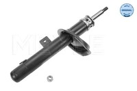 StoßDäMpfer Vorderachse Links FüR Peugeot 206+ 206 SchräGheck Cc Sw