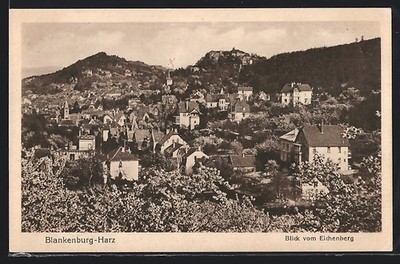 Blankenburg/Harz, view from Eichenberg, postcard 