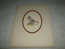 VINTAGE BULLFINCH BIRD LIMITED PRINT WITH SIGNITURE BY T.N. ASHLAND