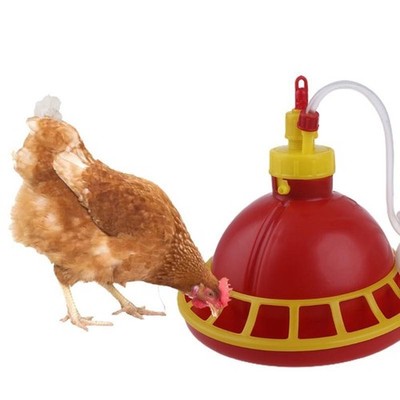  Automatic Poultry Chicken Feeder&Water Dispenser,Feeds Multiple Chicks At Once 