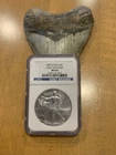 2009 1 Oz Silver American Eagle MS69