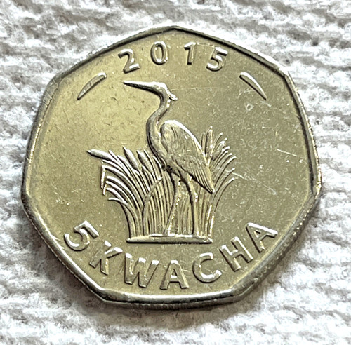 2015 Malawi 5 kwacha Coin Purple Heron Standing in Waterside Cattails Wildlife