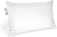 East Coast Bedding Elite Premium 600FP Down Dream Pillow - 100% Cotton Pillows
