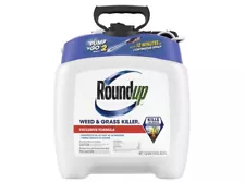Roundup Weed and Grass Killer III Ready-to-Use Pump 'N Go 2 Sprayer -1.33 Gallon