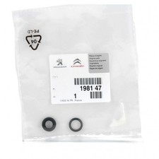 Injecteur Citroen EVASION