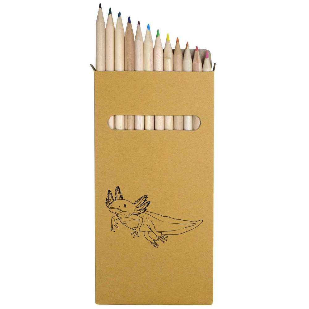 S / Pencil Set (pe00075999)