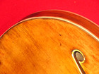 Fender 1967 Natural Coronado II Thinline Body — photo 3