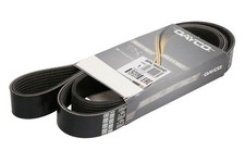 Ceinture multi - côtes pour MAN TGX I D2066LF85 09.16-09.21