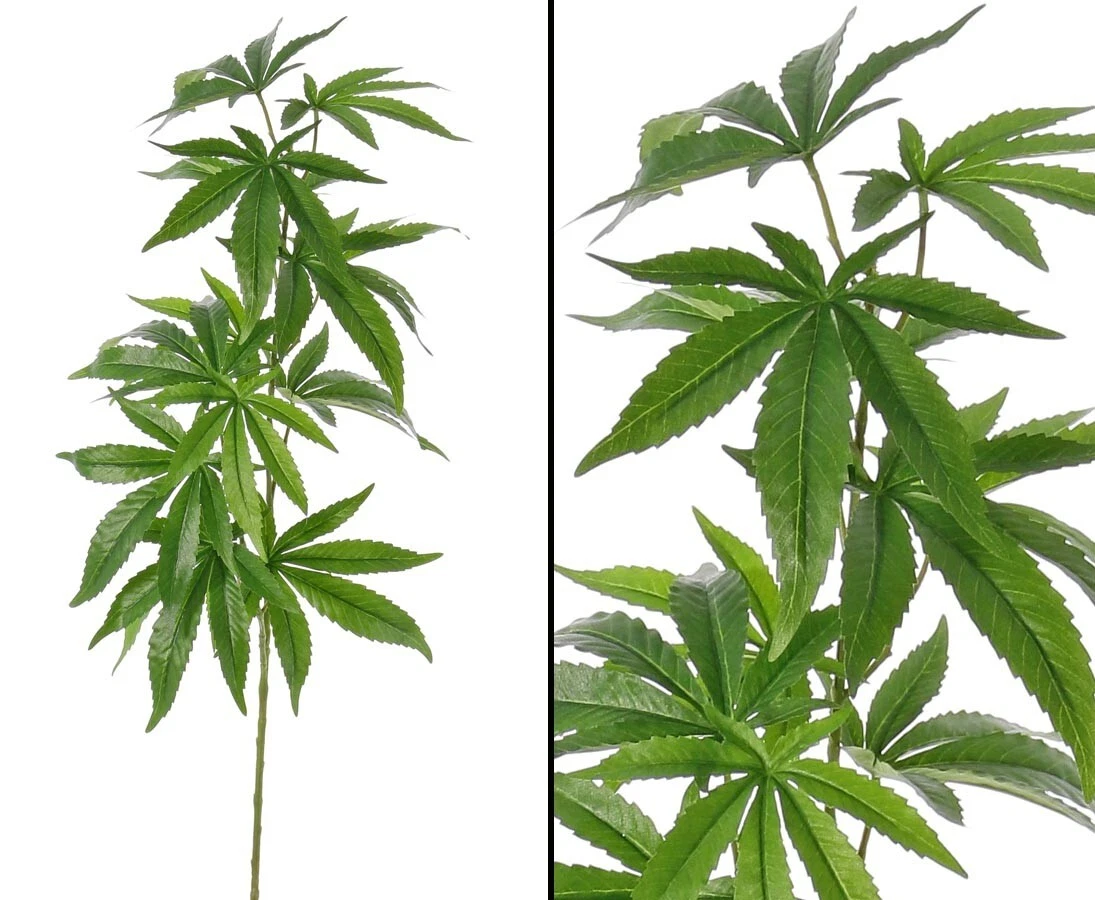 knstlicher ficus 180 cm Knstlicher Ficus - Kim | 180 cm