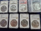 🌟(10) American Silver Eagle 1 oz .999 Coins NGC PCGS MS69 (10 oz total)