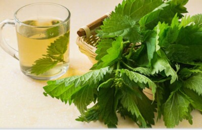  Nettle Organic Dried Cut 100%wild  / 1oz to 16oz / Urtica Dioica / 100% Premium