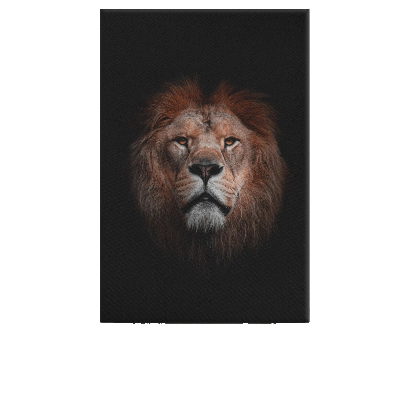 Animales de lona afiches y grabados de decoración para el Hogar