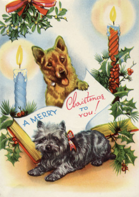 CAIRN TERRIER AND CORGI SINGLE DOG PRINT GREETING CHRISTMAS CARD