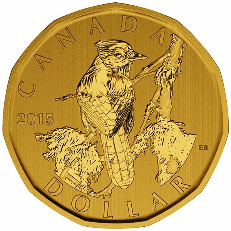 30cm kd17 オールスター イージーマネー レインボー 総柄 国内激レア 🇨🇦 Rare Canada $1 SPECIMEN Loonie Coin, Birds, BLUE JAY DOLLAR