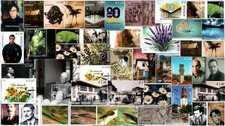 Kosovo Stamps 2025. Complete year all issues. Set and Souvenir sheet. MN