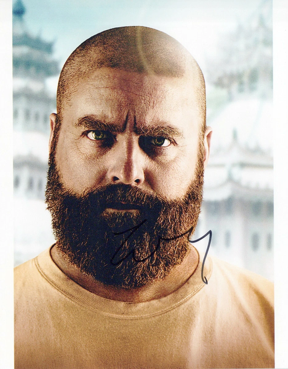 Zach Galifianakis Kater 2