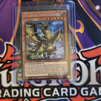 Yu-Gi-Oh! TCG Thunder Dragonhawk 2019 Gold Sarcophagus Tin Mega Pack MP19-DE168