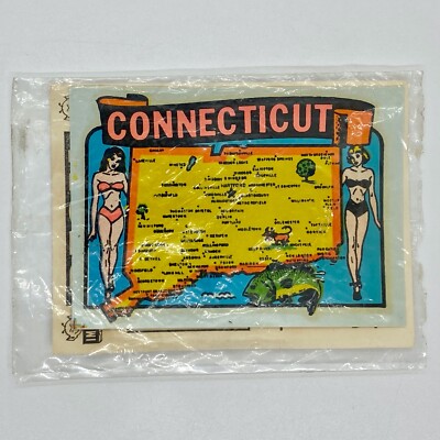 Vintage CONNECTICUT STATE Souvenir TRAVEL DECAL Lake Life Impko Water Dip Decal