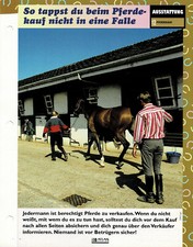 Compra de caballos (3) - Tarjetas informativas