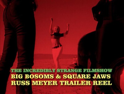 Russ Meyer INCREDIBLY STRANGE FILM SHOW profile/doc. (87 min) dvd -r Reg. 0 NTSC