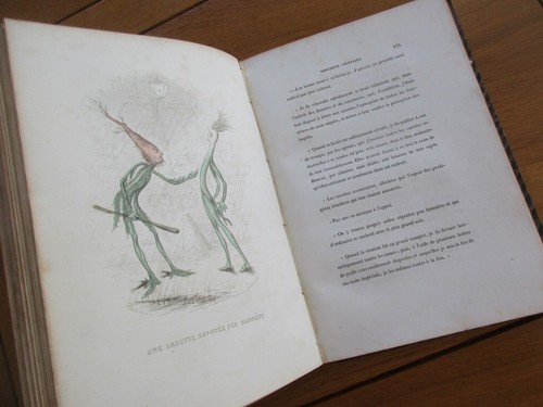 SELTEN L ' EMPIRE DES LEGUMES MEMOIRES DE CUCURBITUS 1ER VARIN MERAY LITHOGRAPHIEN - Bild 12 von 15
