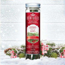 SCENTSICLES Christmas Berry Ornament Sticks w/ Hooks 2 Bottles of 6 Scented