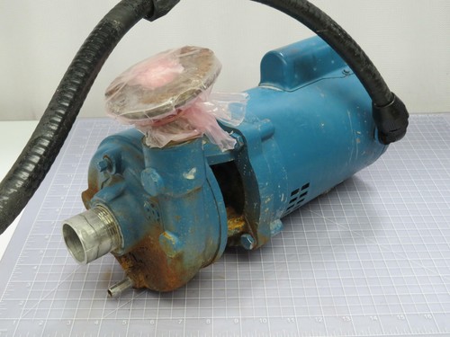 MARATHON ELECTRIC 2QJ56C34D1169B 607064-05 JET PUMP 60HZ 1 PH 3450 RPM T171235