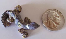 Land and Sea Nature Series Lizard