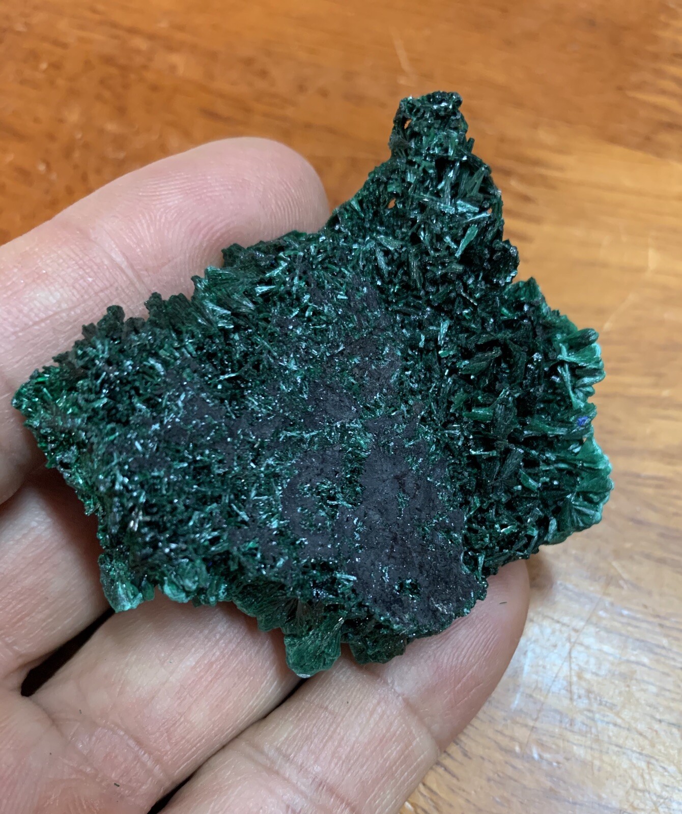 Natural Fibrous Velvet Malachite Crystal Specimen 225”x175” 593 Gram 