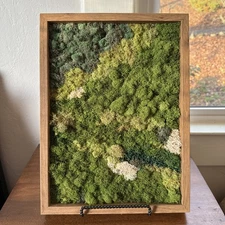 Preserved Moss Wall Art, Handmade, Wood Framed