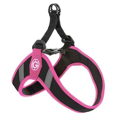 acana dog food causing heart disease