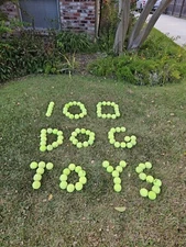 100 USED TENNIS BALLS - GREAT DOG TOYS !!!