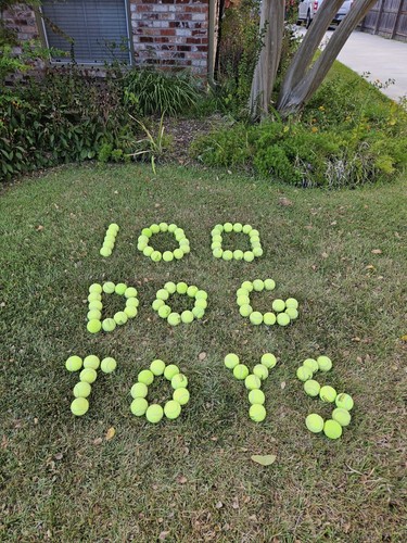 100 USED TENNIS BALLS - GREAT DOG TOYS !!!