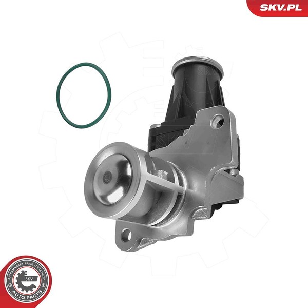 Esen SKV Agr-Ventil U.A. FüR MERCEDES-BENZ, Nissan, Renault-image