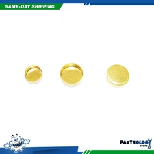 DNJ FPS3159 Expansion Plug Kit For 97-01 Chevrolet Pontiac Camaro 5.7L OHV 16v