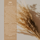 Irish Sea Moss Capsules | Organic Chondrus Crispus | Mineral Wellness