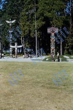1966 35mm slide 1966 35mm slide Stanley Park Vancouver Canada Totem Poles #1736