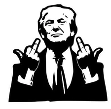 Vinyl Decal for Window - Trump Car Decal (May Customize w/ Name) Various Colors