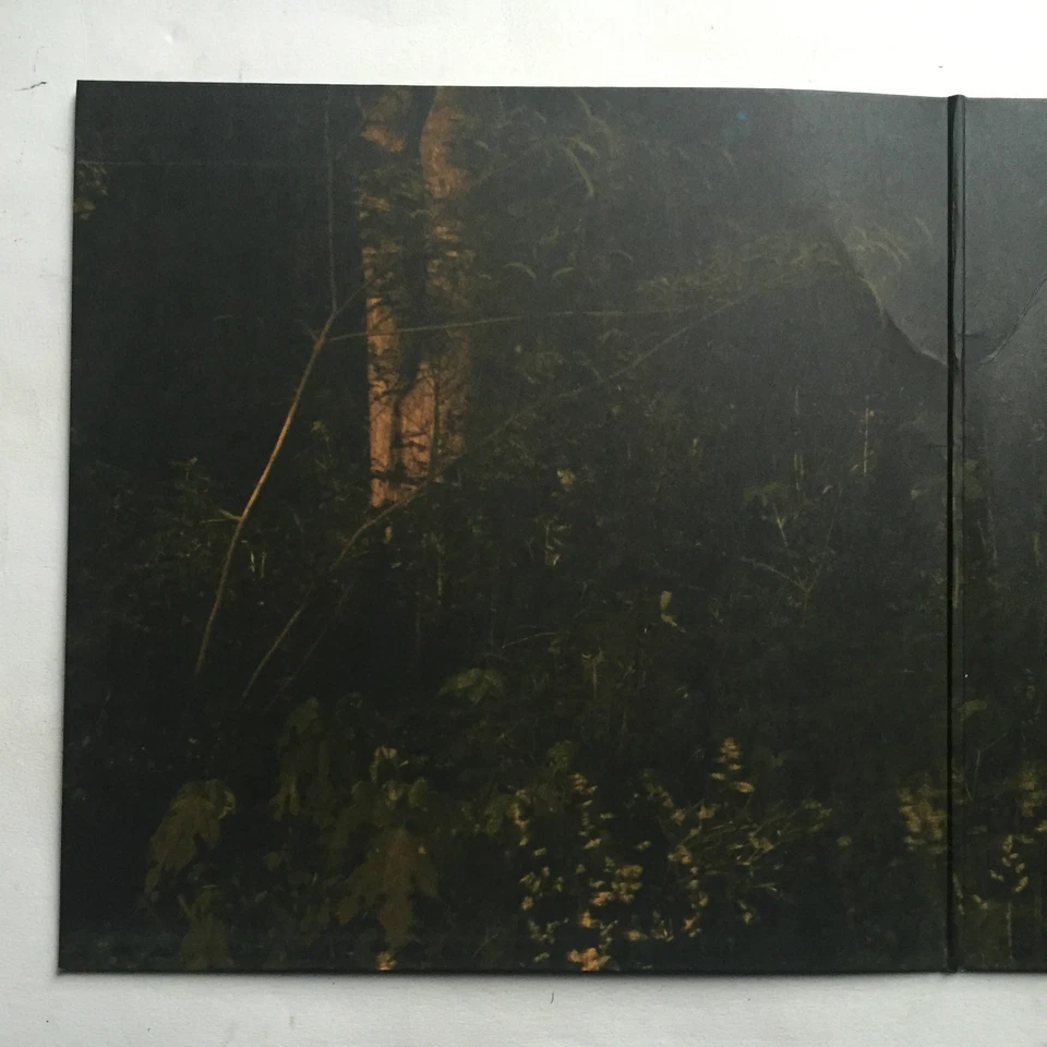 Porn Merzbow - And The Devil Makes Three * Vinyl Lp Brown * TCX01V * Free P&P UK - Image 4 of 4