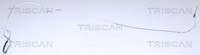 Triscan Bremsschlauch 8150 25228 FüR Clio Renault Modus 3 BR0 CR0 KR0 BR01 BR03