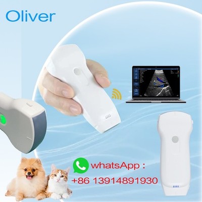 158E Color Doppler  Wireless Ultrasound Probe 3in1 Double Heads