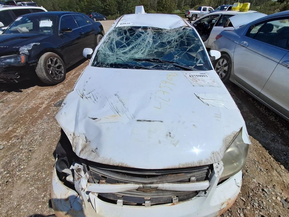 Puerta trasera derecha pasajero eléctrica se adapta 05-10 COBALTO 2690730 Foto 2 de 4