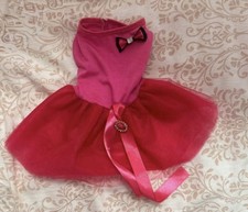 Small Animal Halloween Costumes