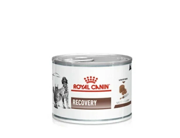 Royal Canin Veterinary Health Nutrition Recovery Veterinary Mousse X6 Cans